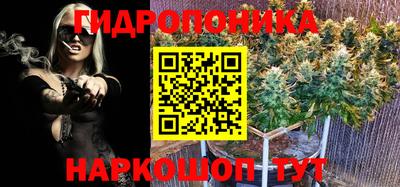 стаф Ливны