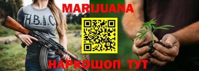 крисы Лесосибирск